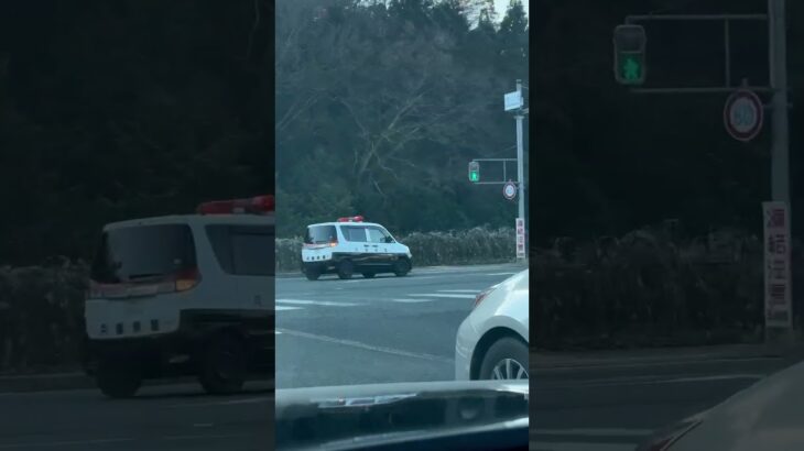 🚨パトカー🚨赤色灯🚨パトロール🚨兵庫県警🚨　#パトカー #shorts