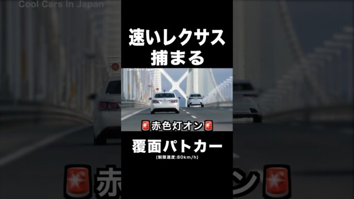 速いレクサスが覆面パトカーに捕まる‼️ #shorts