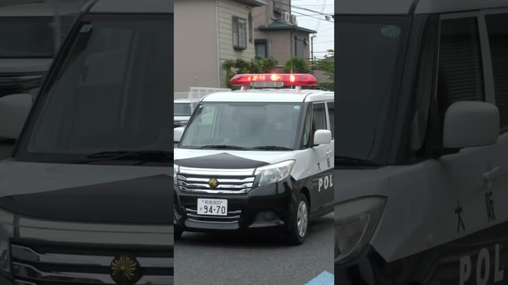 【緊急走行】パトカー緊急走行！！！本編にて！！！#shorts #パトカー #警察 #警察屋さん #police #警察密着