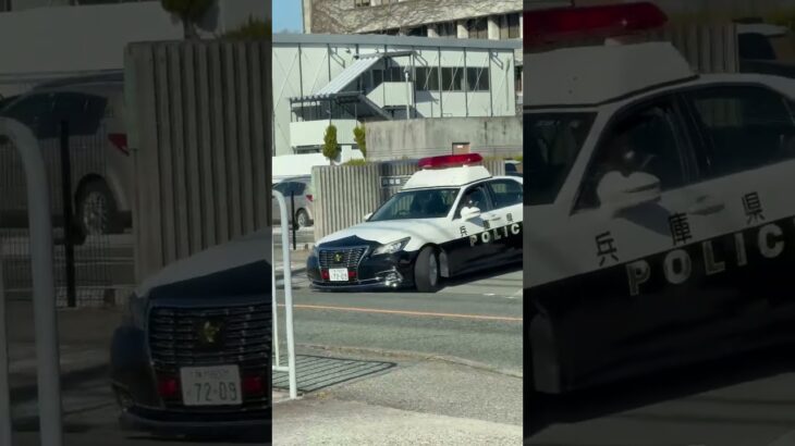 🚨地面スレスレで署を出るパトカーが格好いい🚨  #パトカー #shorts #short