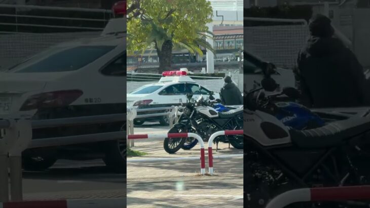 🚨パトカー🚨赤色灯🚨兵庫県警🚨 #パトカー #shorts #short