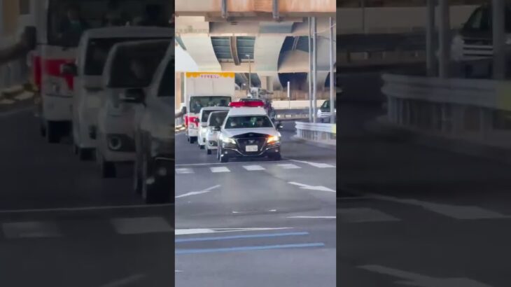 🚨パトカー🚨兵庫県警🚨 #パトカー #shorts #short