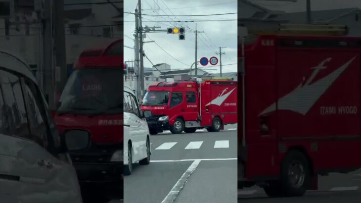 🚨消防車🚨帰還シーン🚨伊丹市消防局🚨　#消防車 #shorts #short