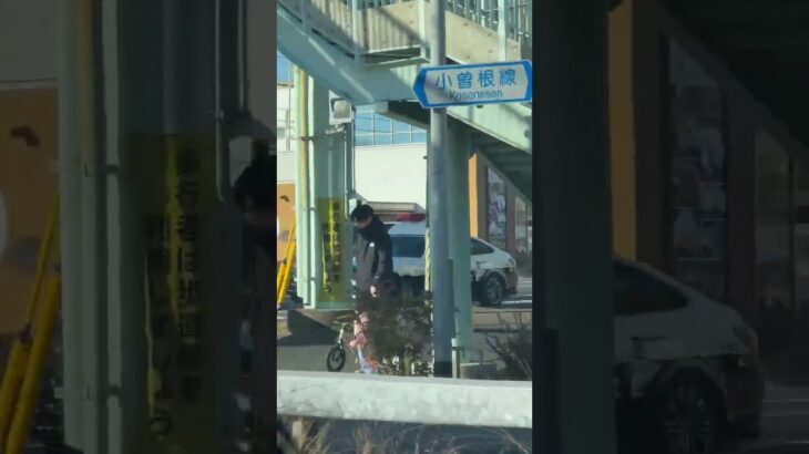 🚨パトカー🚨兵庫県警🚨パトロール🚨 #パトカー #shorts #short