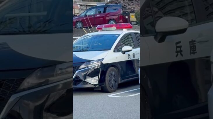 🚨スーパーの駐車場でパトカー発見🚨兵庫県警🚨#パトカー #shorts #short