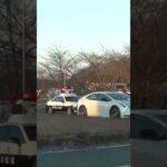🚨違反車を捕まえたパトカー🚨赤色灯🚨兵庫県警🚨 #パトカー #shorts #short #shortsfeed