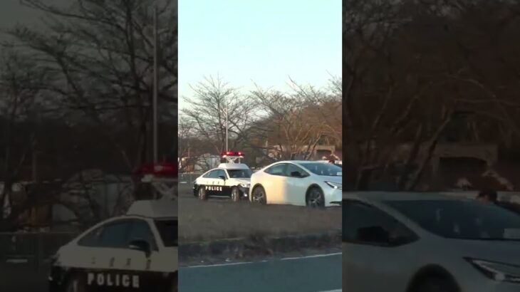 🚨違反車を捕まえたパトカー🚨赤色灯🚨兵庫県警🚨 #パトカー #shorts #short #shortsfeed