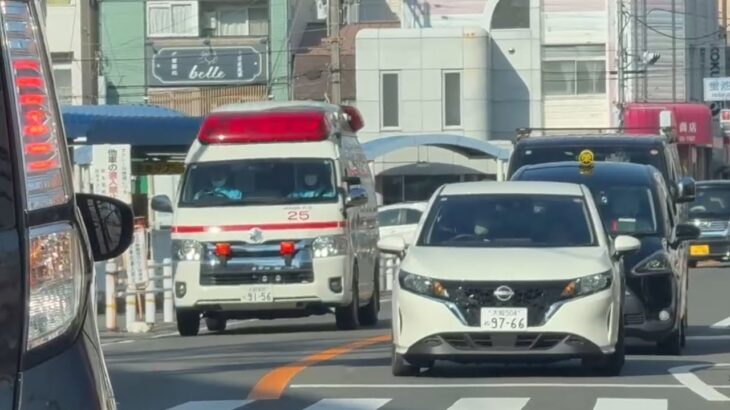 🚨逆走で緊急走行🚨救急車🚨響き渡るサイレン🚨池田市消防本部🚨　#救急車