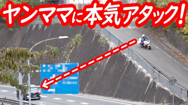 白バイが本気のアタック！狙われたヤンママヴォクシーの末路…【白バイによるスピード違反取り締まり】