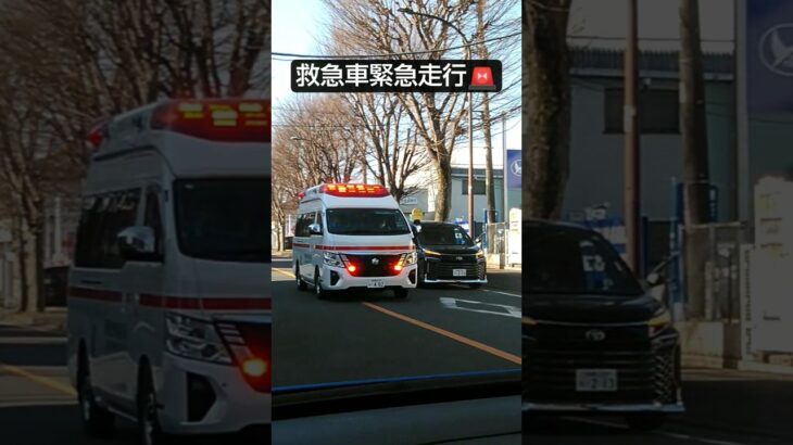 救急車緊急走行🚨