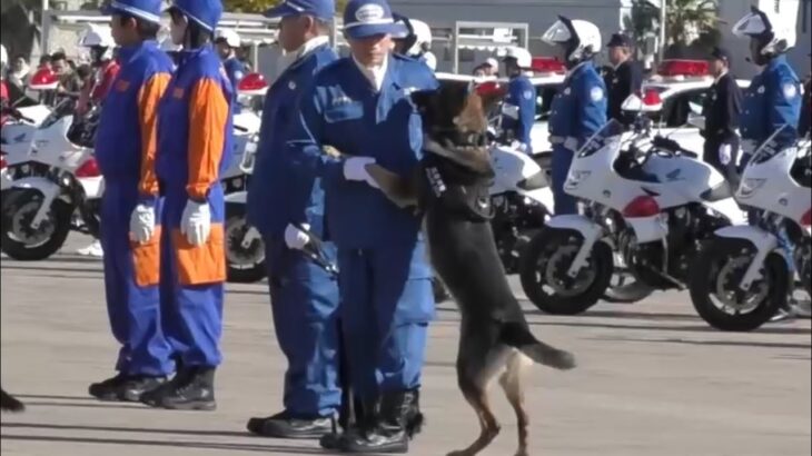 😅大事な式典で、警察犬がテンション上がった結果・・・😅😅😅