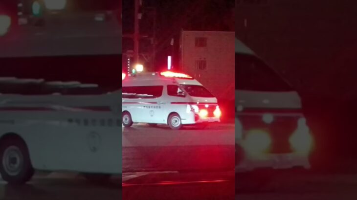 【緊急走行】鹿児島市消防局谷山北救急隊