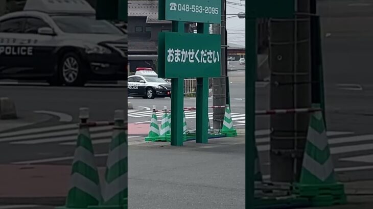 埼玉県警　ティアナ　パトカー　緊急走行