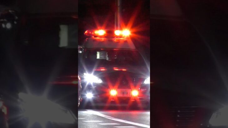 「真ん中開けてください！！」埼玉県警察所轄パトカー緊急走行！！