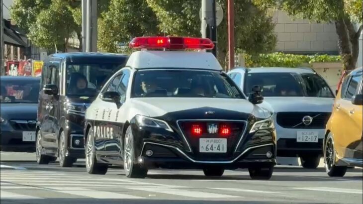🚨パトカー🚨兵庫県警🚨パトロール🚨　#パトカー