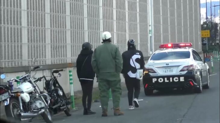 🚨違反バイクがパトカーに捕まる🚨　#パトカー