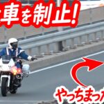 白バイが横付け制止！絵に描いたような追尾でソリオが捕まる！【白バイによるスピード違反取り締まり】