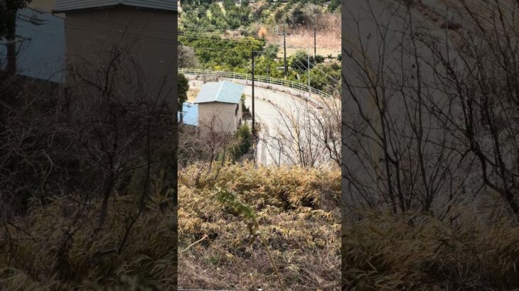 緊急走行中のパトカー峠へ行く