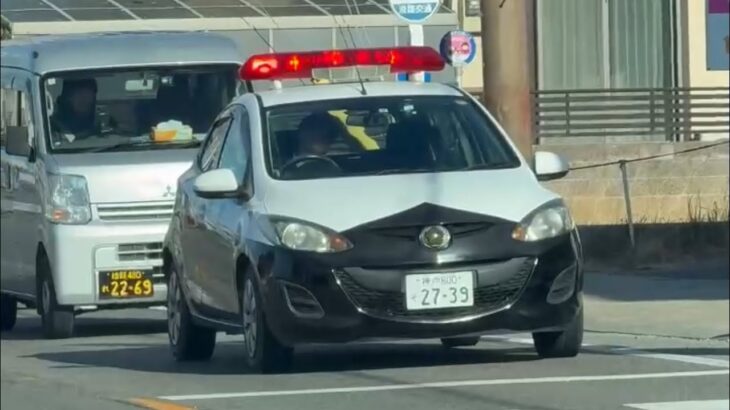 🚨ミニパト🚨赤色灯🚨パトロール🚨兵庫県警🚨　#パトカー