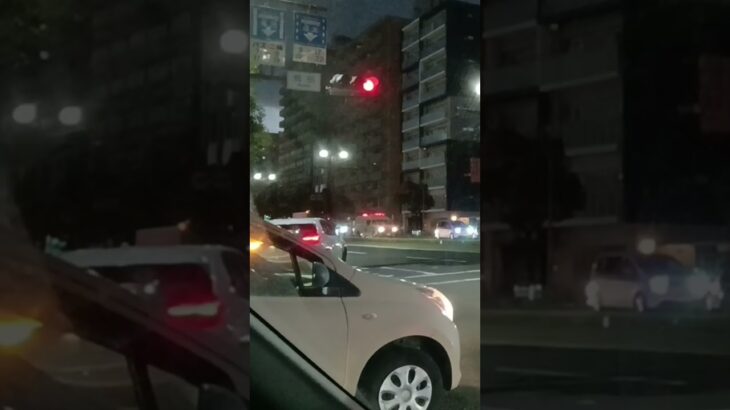 【緊急走行】鹿児島赤十字血液センタードクターカー