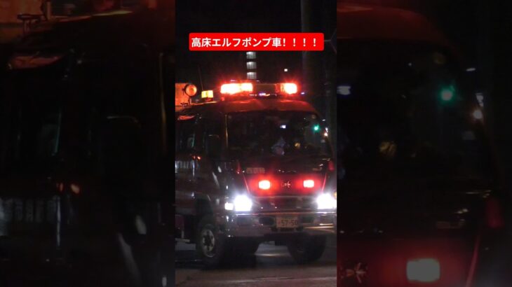 高床式エルフ消防ポンプ車の緊急走行！！#緊急走行#消防車#京都市消防局