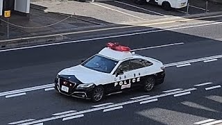 パトカー　緊急走行