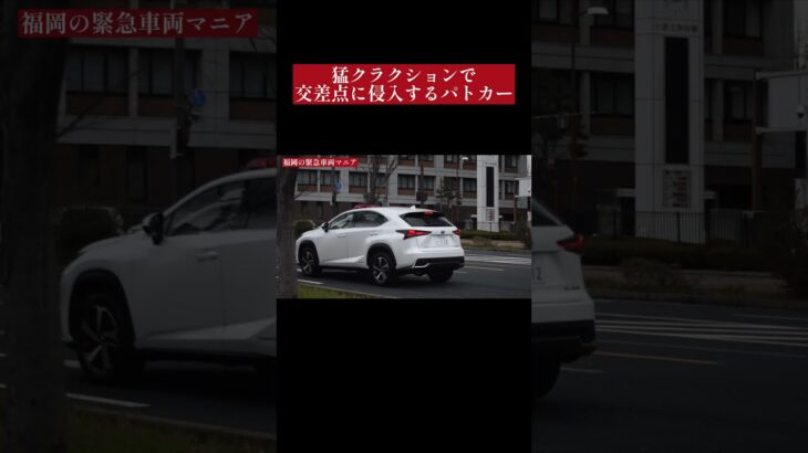 【緊急走行】猛クラクションで交差点に侵入するパトカー