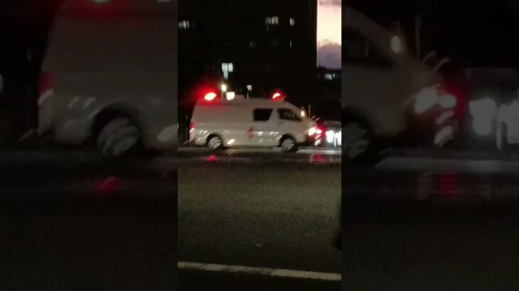 【緊急走行】激レア!鹿児島赤十字血液センタードクターカー