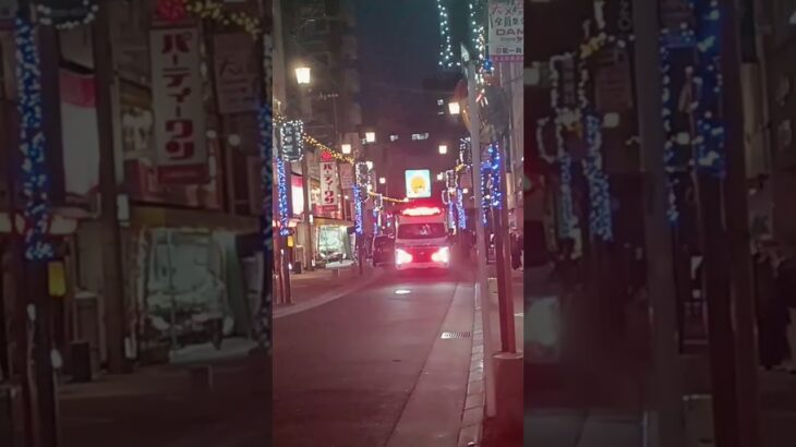 【緊急走行】鹿児島市消防局高度救急隊ドクターカー