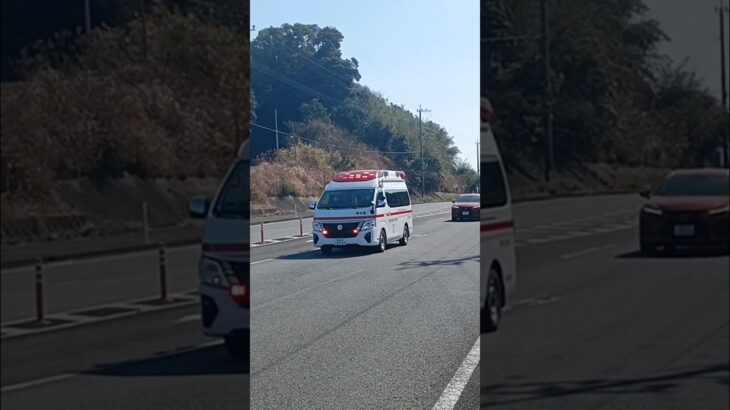 【緊急走行】鹿児島市消防局南本署救急隊