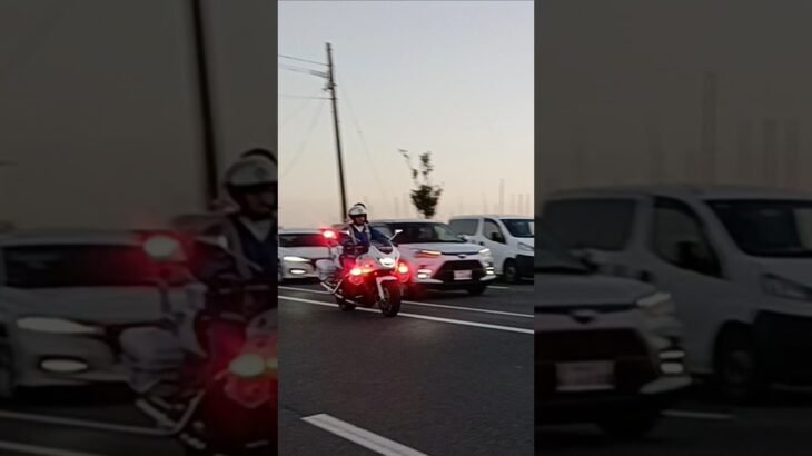 【緊急走行】新型サイレン吹鳴!鹿児島県警察交通機動隊白バイ