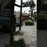 消防車緊急走行