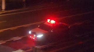パトカー　緊急走行
