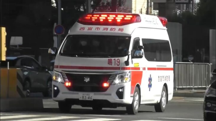 🚨交差点を緊急走行🚨救急車🚨響き渡るサイレン🚨西宮市消防局🚨 #救急車