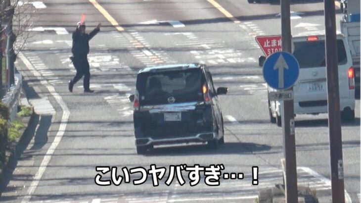 【新年早々 ヤバすぎる一時停止無視!】嫁と子供を後部座席に乗せていても停止線を戦慄のノーブレーキで突破したヤバすぎるセレナに警察官から停止命令の瞬間!