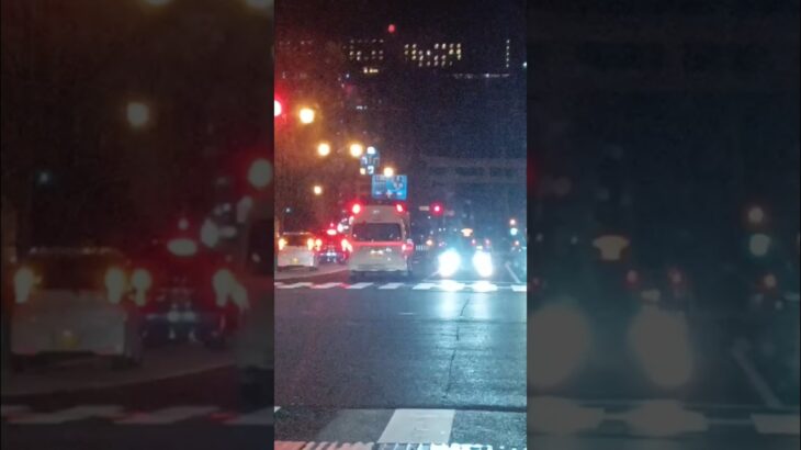 【緊急走行】鹿児島市消防局南本署非常用救急隊（南林寺救急代車運用中）