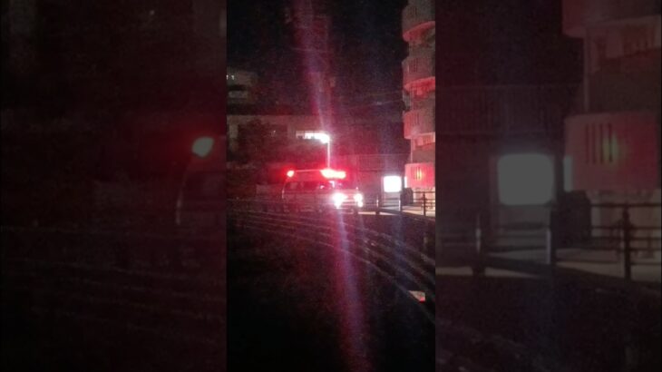 【緊急走行】鹿児島市消防局南本署非常用救急隊（南林寺救急代車運用中）