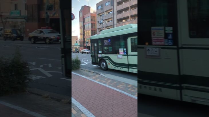 過去最高台数のパトカーラッシュ！#緊急走行 #パトカー