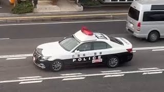 パトカー　緊急走行