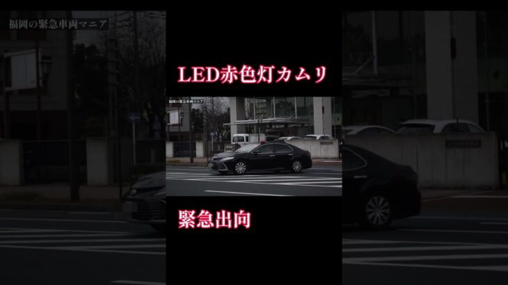 【緊急走行】北九州市警察部 機動捜査・特別遊撃班 カムリ 覆面パトカー