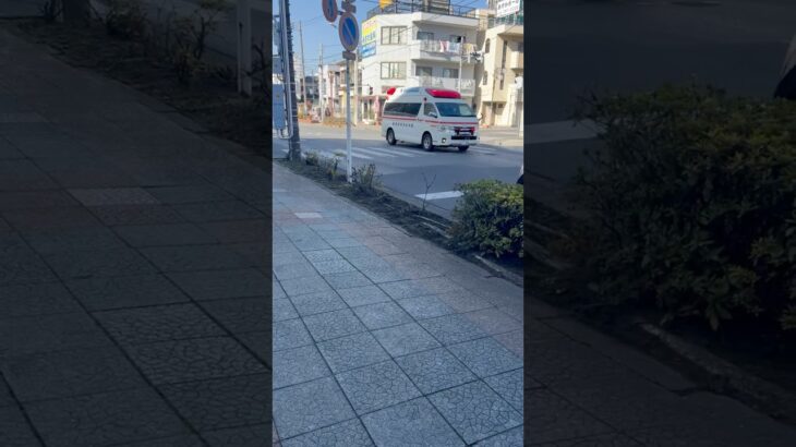 【マイクパフォーマンスする救急隊！】春日部市消防本部。救急車。(救急春日部東1) 緊急走行シーン！