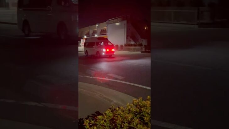 【夜間用サイレン🚨】さいたま市消防局　救急車　(救急岩槻1) 緊急走行シーン！