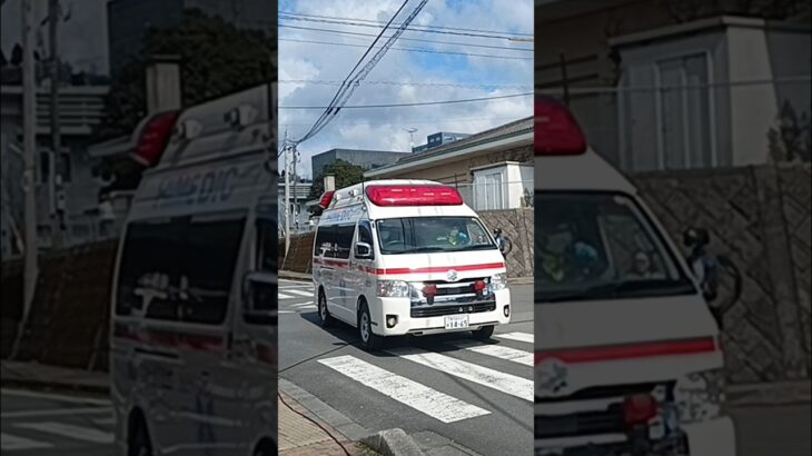 【緊急走行】川辺二日市開催の中救急搬送!指宿南九州消防組合川辺救急1