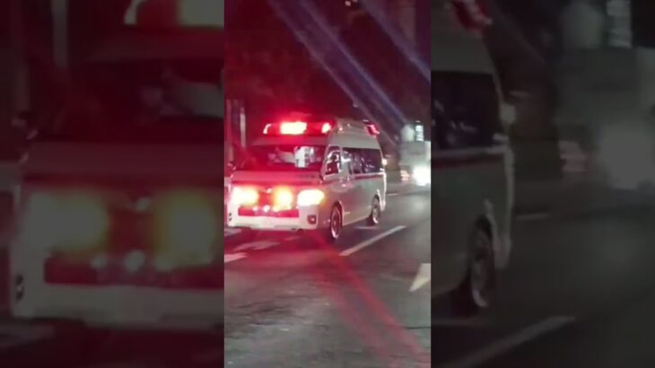 【緊急走行集124】鹿児島市消防局・指宿南九州消防組合救急車