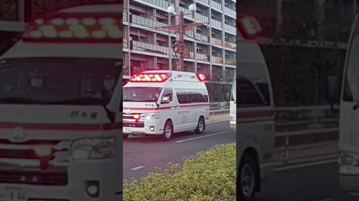 【緊急走行集125】鹿児島市消防局・指宿南九州消防組合救急車