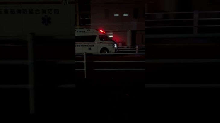 【市外搬送】埼玉東部消防局　救急車　救急杉戸2。緊急走行シーン！