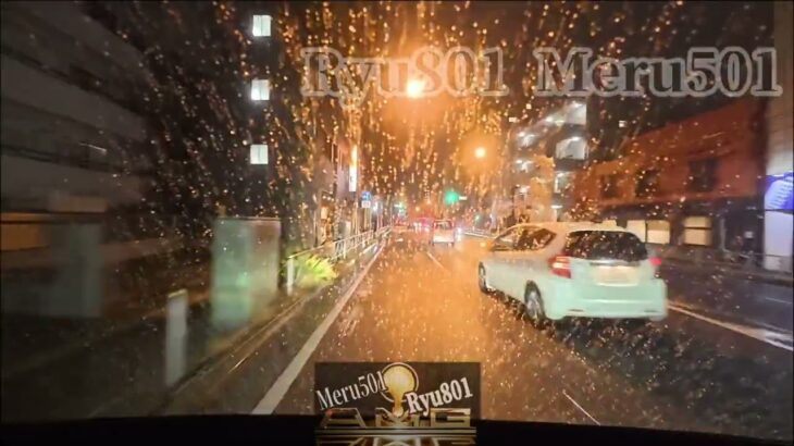 2026年2月某日 東京 雪 パトカー 赤色灯 警察