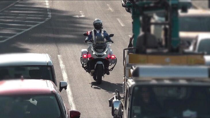 【2種類の歩行者妨害】3秒早く通過していれば白バイに捕まる事はなかったユンボを積んだトラック＆横断中の歩行者の目の前を走り抜けたクラウンがパトカーに検挙される取締りの顛末!!