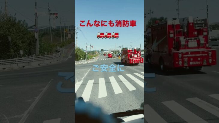 消防車3台救急車1台緊急走行