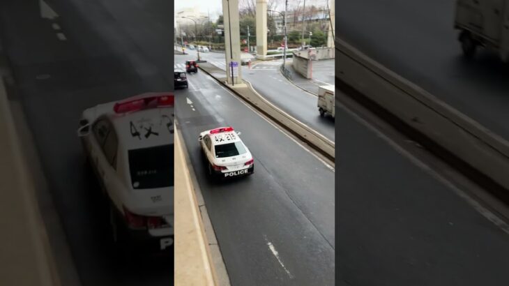 警視庁第4方面交通機動隊パトカー緊急走行(4交機215)